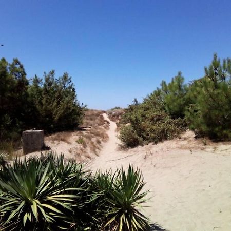 Casa Nel Parco Sulla Spiaggia 피사 외부 사진