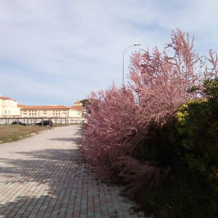 Casa Nel Parco Sulla Spiaggia 피사 외부 사진