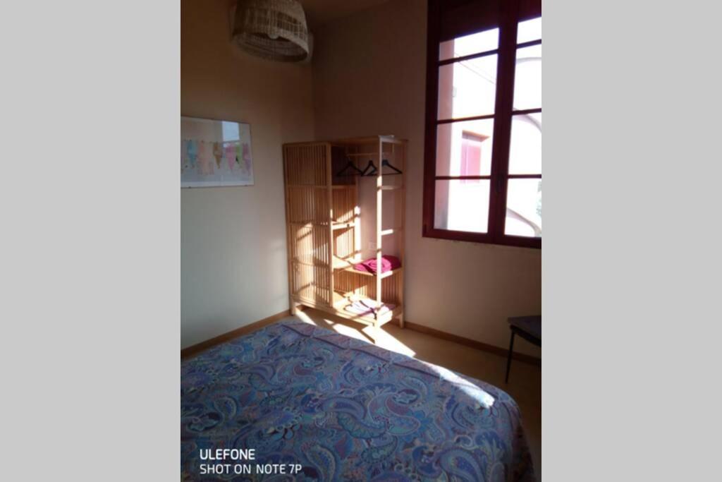 Casa Nel Parco Sulla Spiaggia 피사 외부 사진