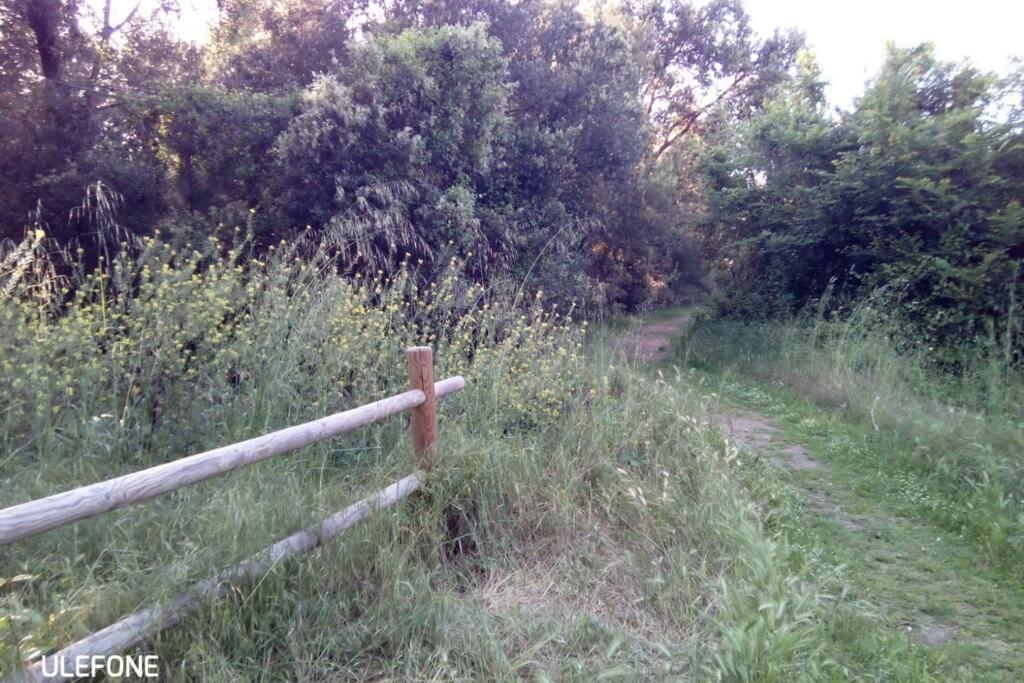 Casa Nel Parco Sulla Spiaggia 피사 외부 사진