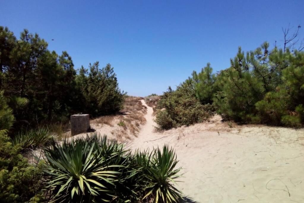 Casa Nel Parco Sulla Spiaggia 피사 외부 사진