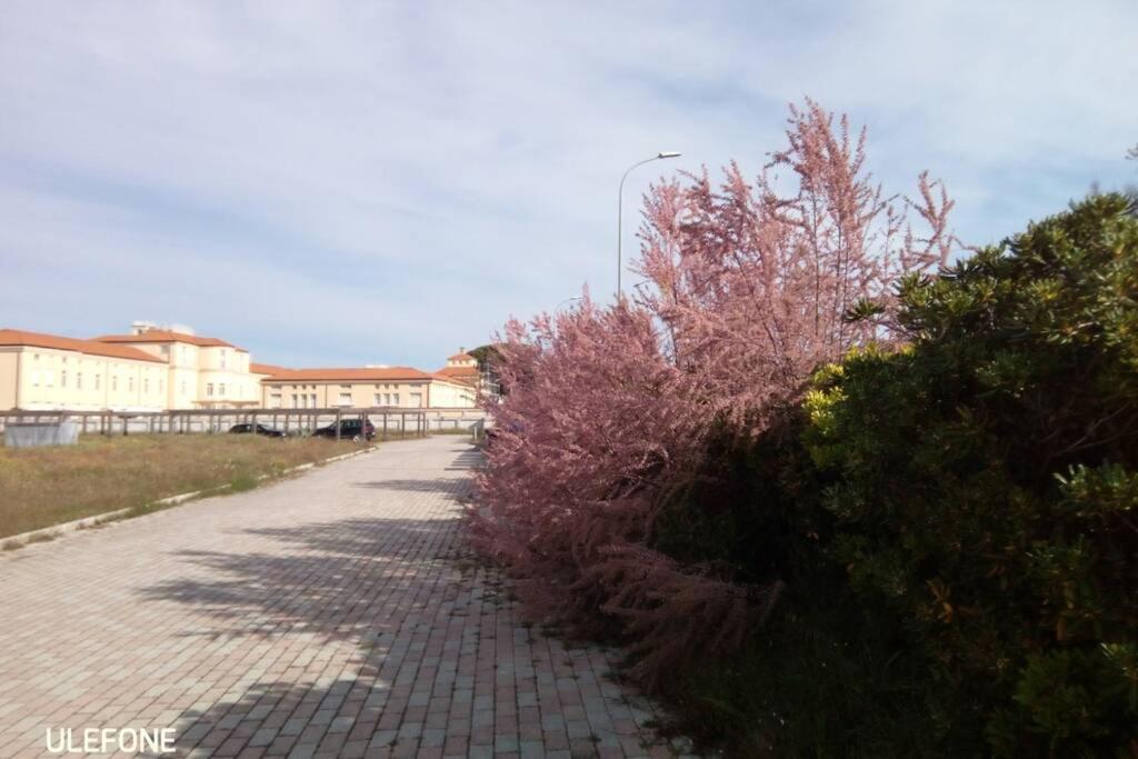 Casa Nel Parco Sulla Spiaggia 피사 외부 사진