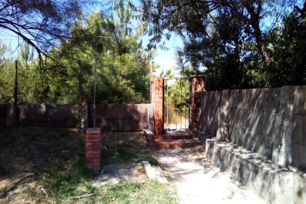 Casa Nel Parco Sulla Spiaggia 피사 외부 사진
